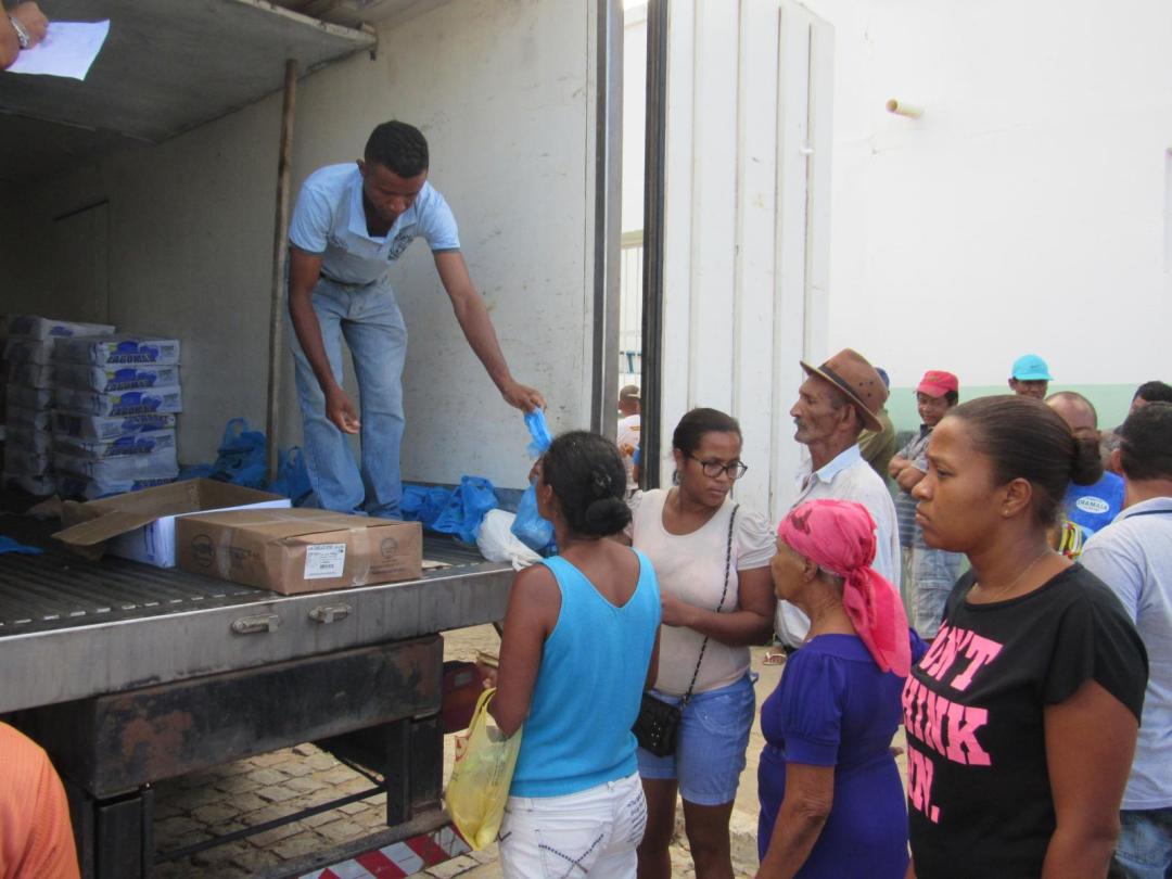 Prefeitura de Boa Vista do Tupim-BA faz distribuição de 5 toneladas de peixes